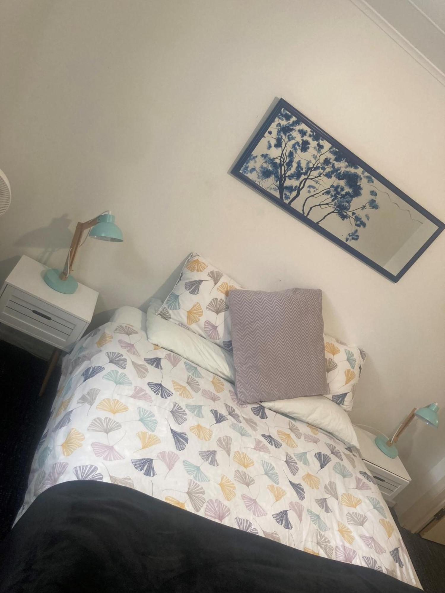 Mountain View Backpackers Hostel Γουανάκα Εξωτερικό φωτογραφία